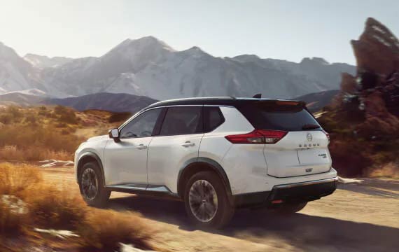 rogue exterior