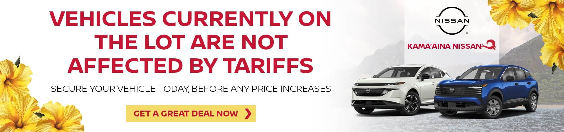 Buy Now Before Tariffs Affect Prices